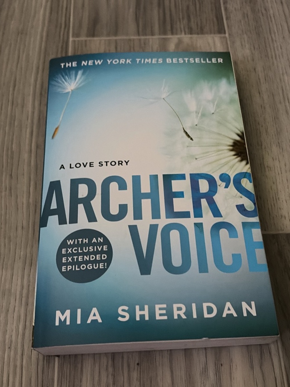 Archer's Voice by  — Blue Paperback Novel